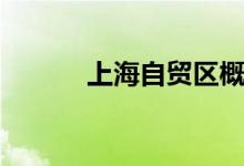 上海自贸区概念有哪些股票（）