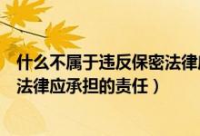 什么不属于违反保密法律应承担责任（什么不属于违反保密法律应承担的责任）