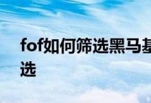 fof如何筛选黑马基金 看fof基金经理怎么筛选