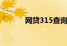 网贷315查询（网贷315导航）