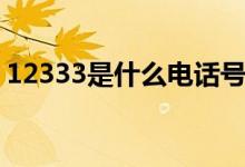 12333是什么电话号码（12333是什么电话）