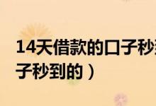 14天借款的口子秒到的2022（14天借款的口子秒到的）