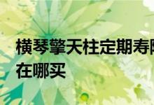 横琴擎天柱定期寿险在线买 横琴擎天柱2020在哪买