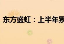 东方盛虹：上半年累计新增借款197.71亿元