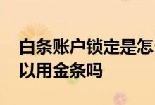 白条账户锁定是怎么回事 白条账户已锁定可以用金条吗