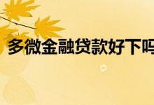 多微金融贷款好下吗 多微金融贷款是网贷吗