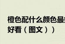 橙色配什么颜色最好看?（橙色配什么颜色会好看（图文））