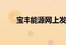 宝丰能源网上发行中签率为0.246%