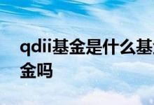 qdii基金是什么基金 带qdii的基金是主题基金吗