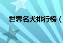 世界名犬排行榜（世界名犬图片及价格）