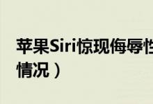 苹果Siri惊现侮辱性翻译怎么回事（具体什么情况）