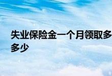 失业保险金一个月领取多少钱 2022年失业保险缴费比例是多少 