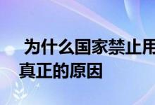  为什么国家禁止用红砖盖房子？专家告诉你真正的原因 