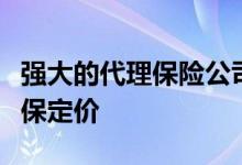 强大的代理保险公司通过代理合作优化您的续保定价