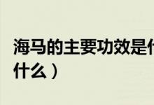 海马的主要功效是什么（海马的功效与作用是什么）
