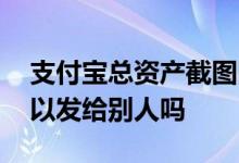 支付宝总资产截图图片 支付宝总资产截图可以发给别人吗