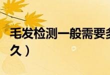 毛发检测一般需要多久（毛发检测一般需要多久）