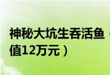 神秘大坑生吞活鱼（养殖户损失上万公斤鱼价值12万元）