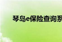 琴岛e保险查询系统 琴岛e保险怎么买