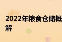 2022年粮食仓储概念股名单一览3分钟带你了解