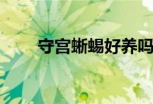 守宫蜥蜴好养吗（守宫蜥蜴怎么养）