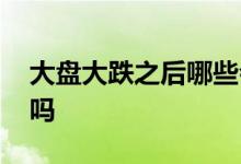 大盘大跌之后哪些会涨 大盘大跌之后会反弹吗