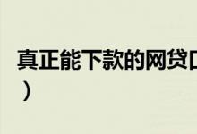 真正能下款的网贷口子（容易下款的网贷口子）