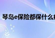 琴岛e保险都保什么病 琴岛e保险都保什么的