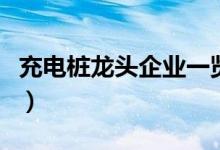 充电桩龙头企业一览（充电桩上市公司有哪些）