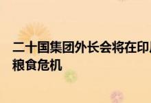 二十国集团外长会将在印尼巴厘岛举行重点讨论多边主义和粮食危机