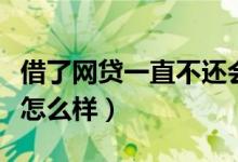 借了网贷一直不还会怎么样（网贷借款不还会怎么样）