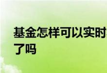 基金怎样可以实时卖出 基金有收益可以卖出了吗