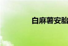 白麻薯安胎（白麻怎么做）