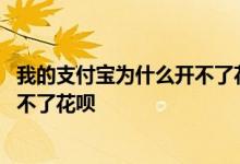 我的支付宝为什么开不了花呗 经常使用支付宝为什么还是开不了花呗