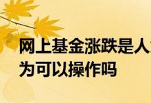 网上基金涨跌是人为故意操作吗 基金涨跌人为可以操作吗
