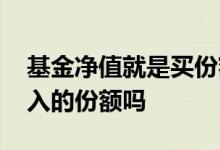 基金净值就是买份额价格吗 基金净值就是买入的份额吗