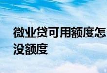 微业贷可用额度怎么用不出来 微业贷为什么没额度