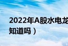 2022年A股水电龙头上市公司有哪些（你都知道吗）