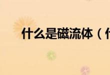 什么是磁流体（什么是磁铁（图文））