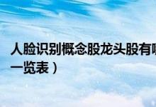 人脸识别概念股龙头股有哪些（2022年人脸识别板块概念股一览表）