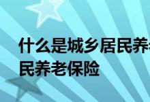 什么是城乡居民养老保险政策 什么是城乡居民养老保险