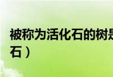 被称为活化石的树是哪一种（哪种树称为活化石）