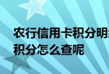 农行信用卡积分明细哪里可以查 农行信用卡积分怎么查呢