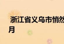  浙江省义乌市悄然取消“限购令” 已达7个月 
