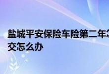 盐城平安保险车险第二年怎样交钱 车险一年不交钱第二年再交怎么办
