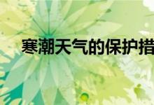 寒潮天气的保护措施（寒潮天气是什么）