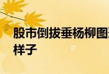 股市倒拔垂杨柳图形 股票中倒垂杨柳是什么样子