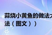 蒜烧小黄鱼的做法大全窍门（蒜烧小黄鱼的做法（图文））