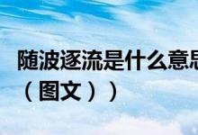 随波逐流是什么意思呀（随波逐流是什么意思（图文））