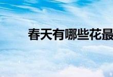 春天有哪些花最香（春天有哪些花）